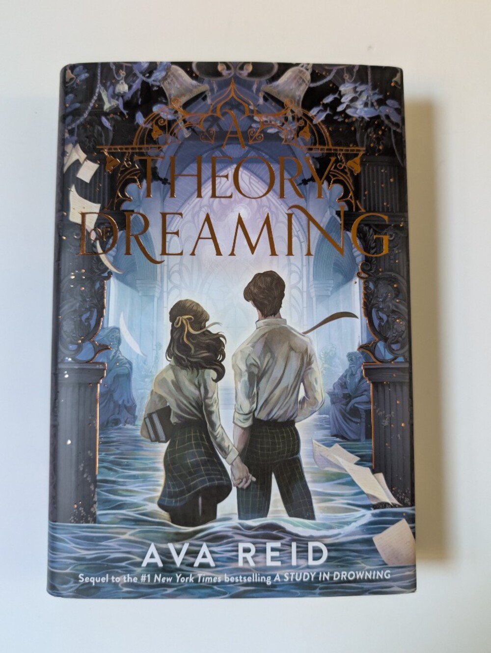 A Theory Of Dreaming By Ava Reid. Hardcover Sprayed Edges Book